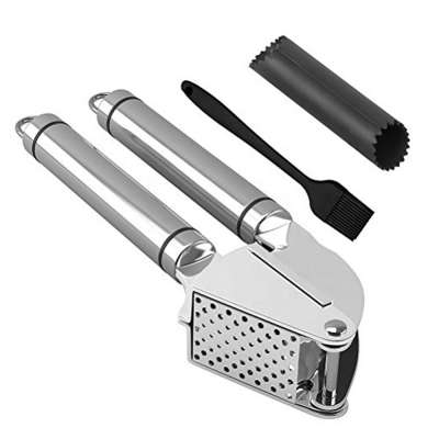 Mini Kitchen 2 In 1 Professional High Quality Stainless Steel Garlic Press